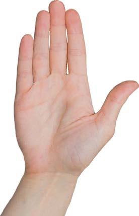 Fichas para Contar Chica 2.3 cm Las fichas para contar son e — El Mundo de Sophia